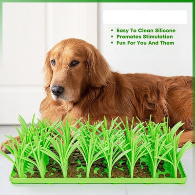 PfotenMatte™ Fängt Kleckerchaos Auf