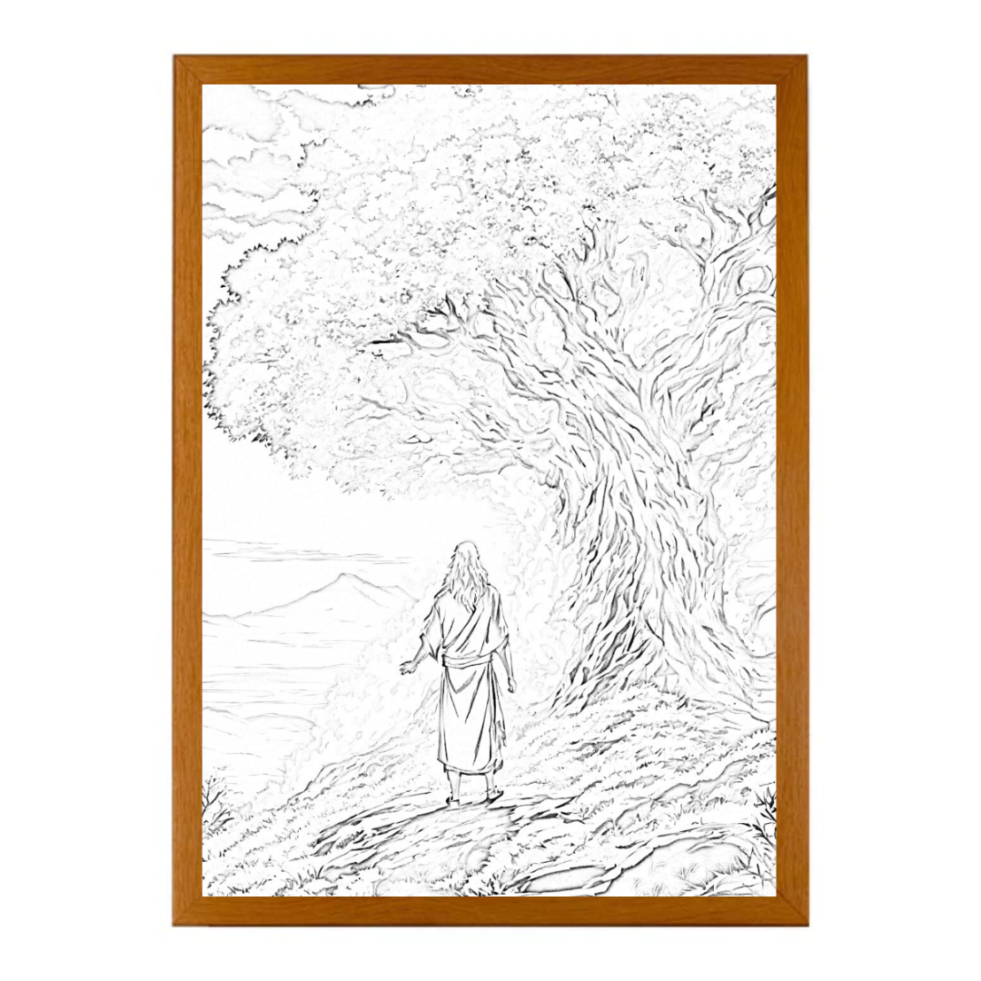 LeichteVision™ Verbessert Die Wanddekoration