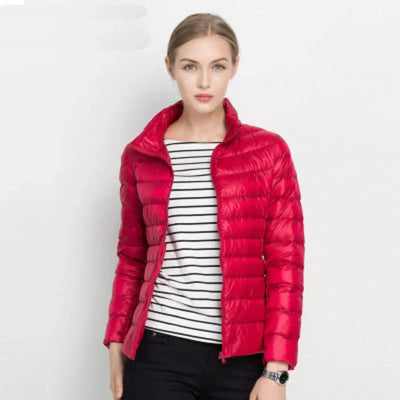 Damen Steppjacke mit leichter Fütterung und Stehkragen
