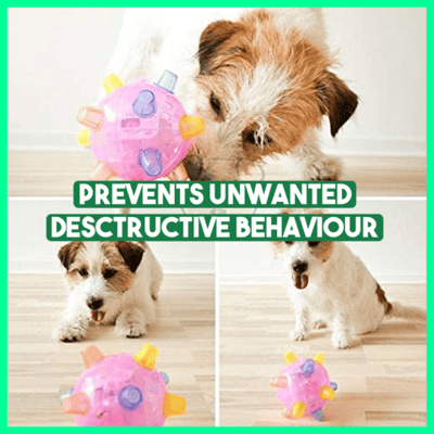 FreudeSpringen™ Unaufhaltsame Verfolgungsjagd Zeit