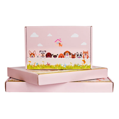 Crocodile Flower Pot