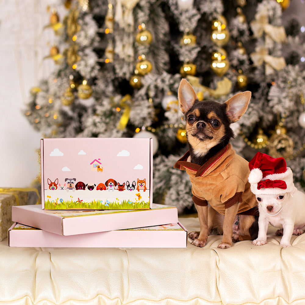 Devon Rex Flower Pot