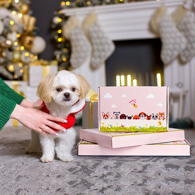 Gelber Eulen-Blumentopf