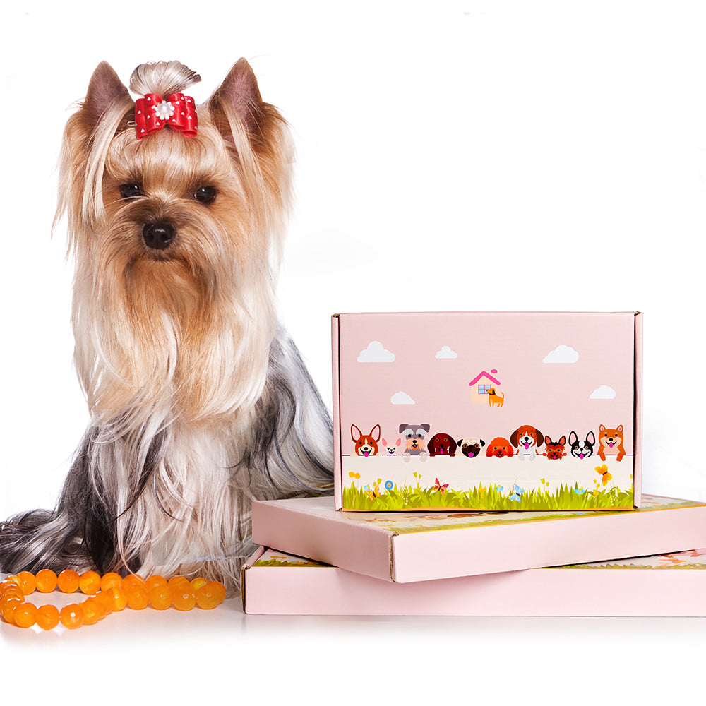 Polarbär Pflanztopf